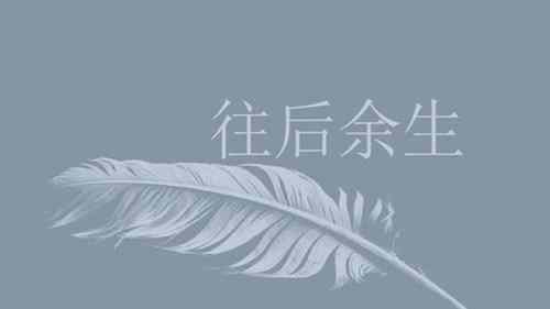 《往后余生》讲了什么