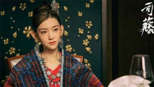 《司藤》沈银灯为什么要杀司藤