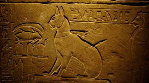 为什么古埃及人都崇拜猫