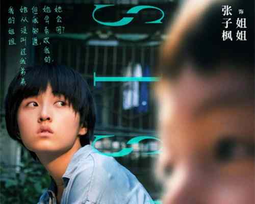《我的姐姐》讲的什么