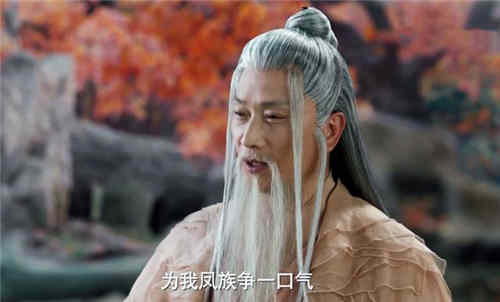 《千古玦尘》芜浣被凤染逐出凤族了吗