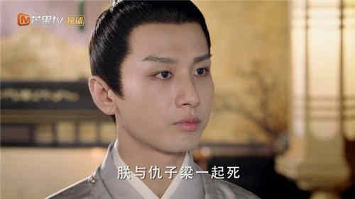 《与君歌》最后珖王做皇帝了吗