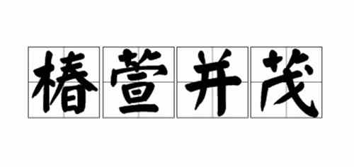 椿萱并茂意思是指椿树和置草都茂盛用来比喻什么