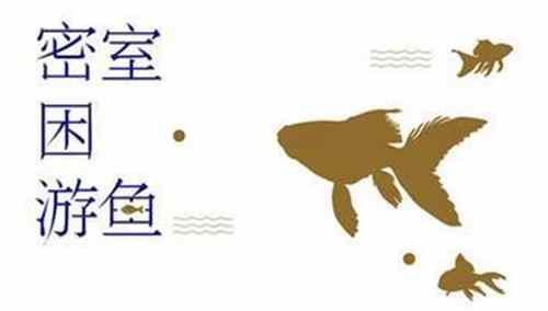 《密室困游鱼》内容介绍