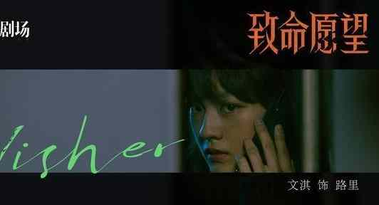 《致命愿望》改编自哪本小说