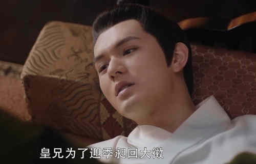 《斛珠夫人》昶王谋逆的原因