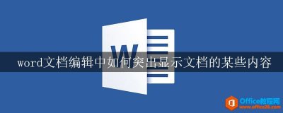 word文档编辑中如何突出显示文档的某些内容