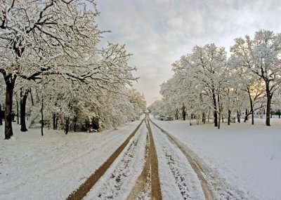 雪的世界 PPT雪景图片背景