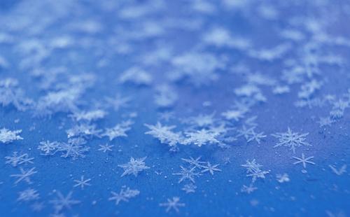 11张晶莹剔透的蓝色雪花PPT背景图片