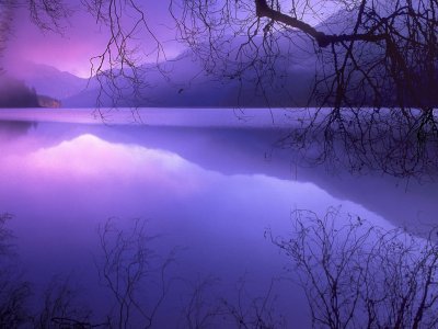 淡雅紫色朦胧水墨山水树枝 PPT课件背景图片