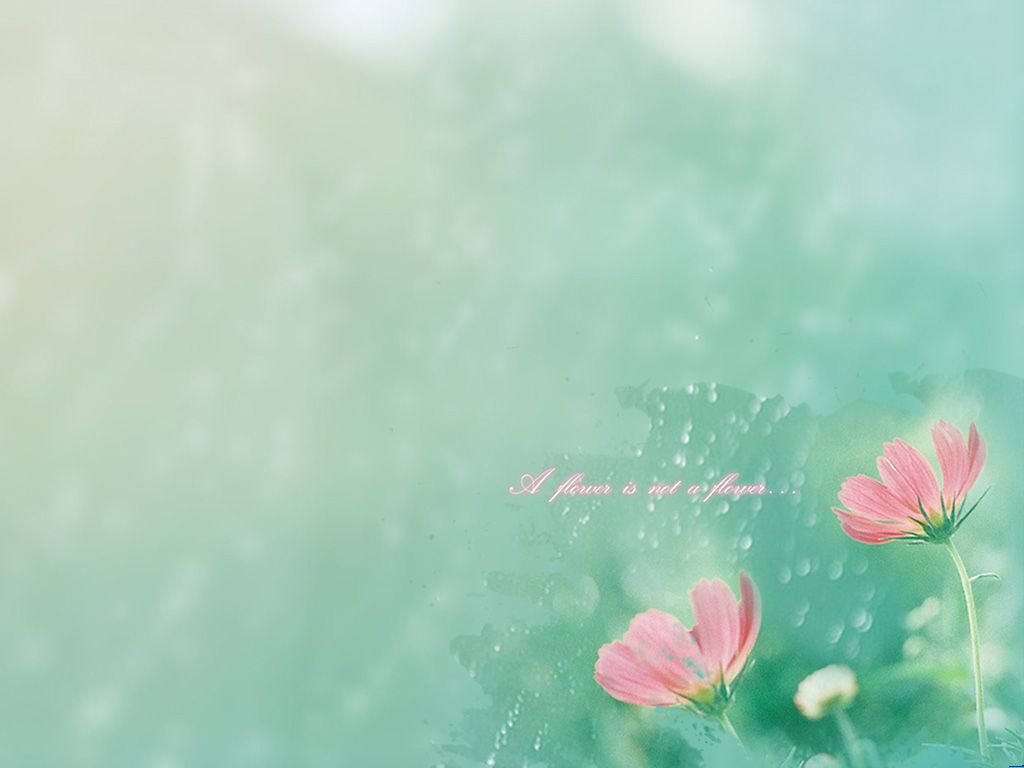 花雾雨 PPT淡雅背景图片