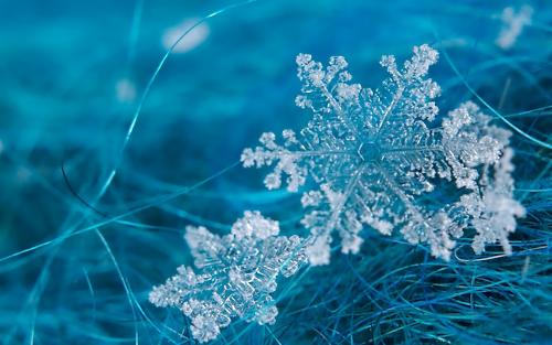 11张晶莹剔透的蓝色雪花PPT背景图片