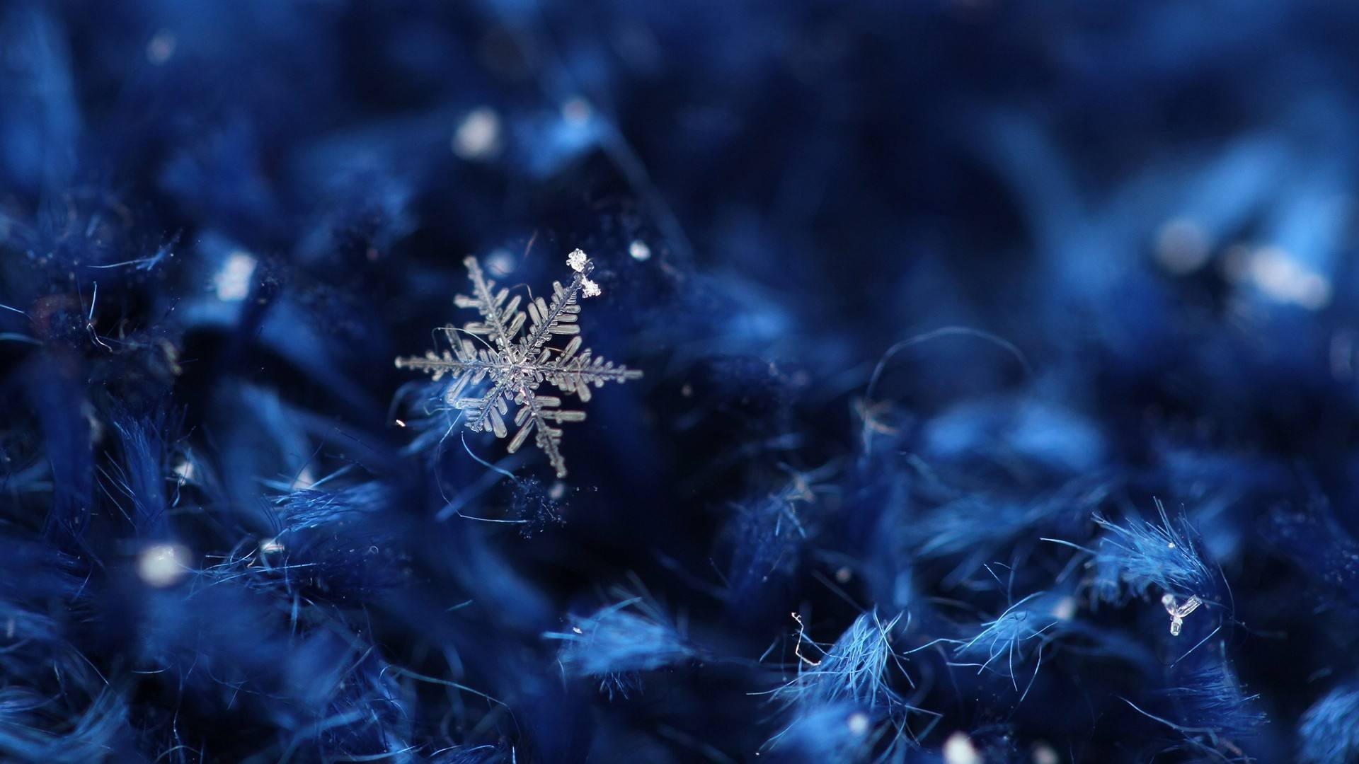 11张晶莹剔透的蓝色雪花PPT背景图片