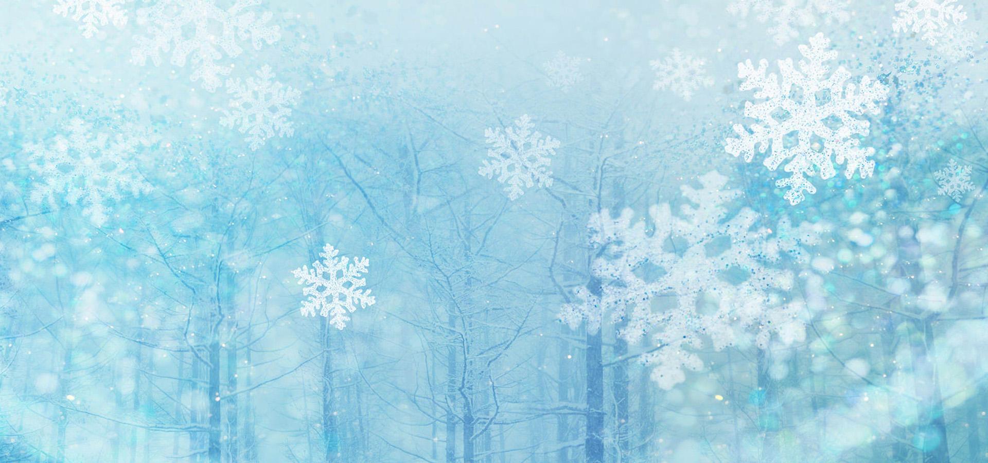 11张晶莹剔透的蓝色雪花PPT背景图片