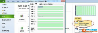 Project 如何更改项目标题