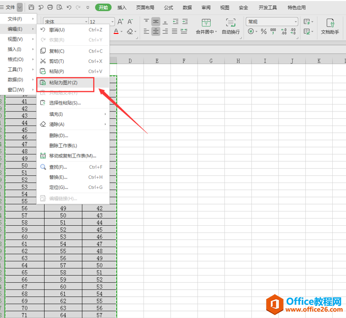 表格技巧—Excel表格怎么截长图