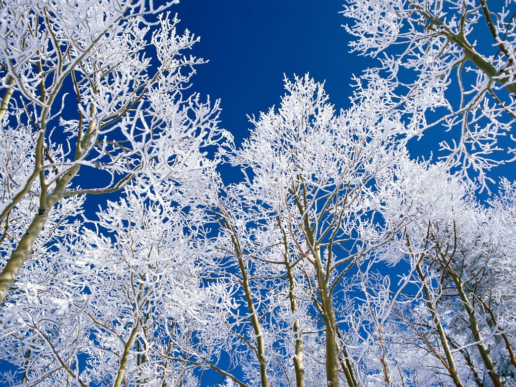 火树银花般的图片_漂亮的冬季雪景ppt背景图片 冷艳雪山风景图片背景，雪山 静静的湖 雪景ppt背景图片，漂亮的雪花背景图片，抽象湿空气云烟ppt背景图片