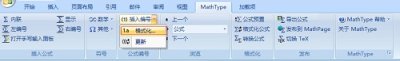 如何解决MathType公式编号更新缓慢问题