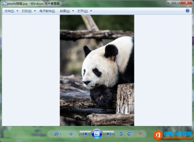 word添加图片水印_如何为word文档添加铺满整个页面的图片水印？操作步骤小提示