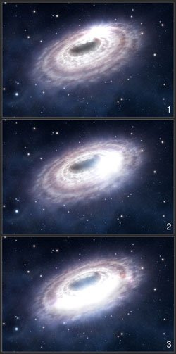 12星座的生日:十二星座出生日期分别是什么