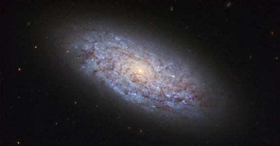 艺术 星座:十二星座里，哪个星座最适合学艺术？